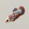 hidemysteak846's Avatar
